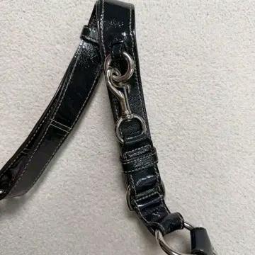 코치 에나멜 혼용 도트백 8