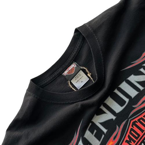 [103] Harley Davidson Flame Long Sleeve 4