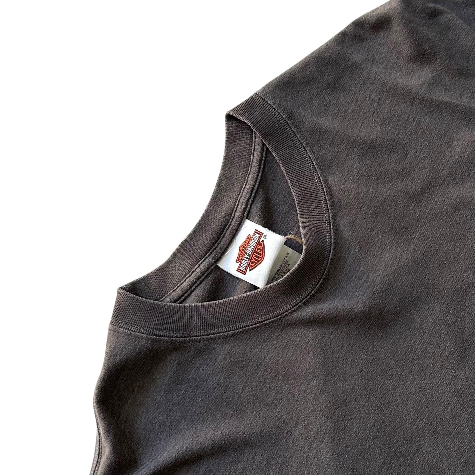 [100] Harley Davidson Blue Flame Long Sleeve 10