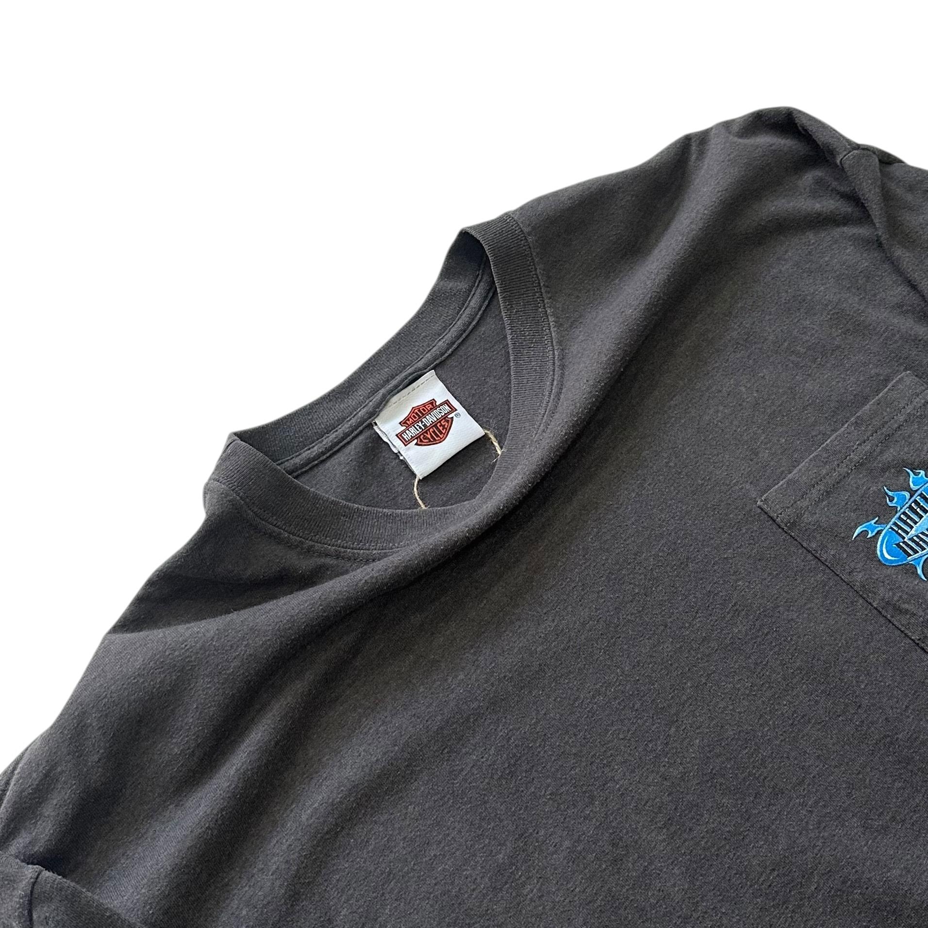 [105] Harley Davidson Blue Flame Long Sleeve 10