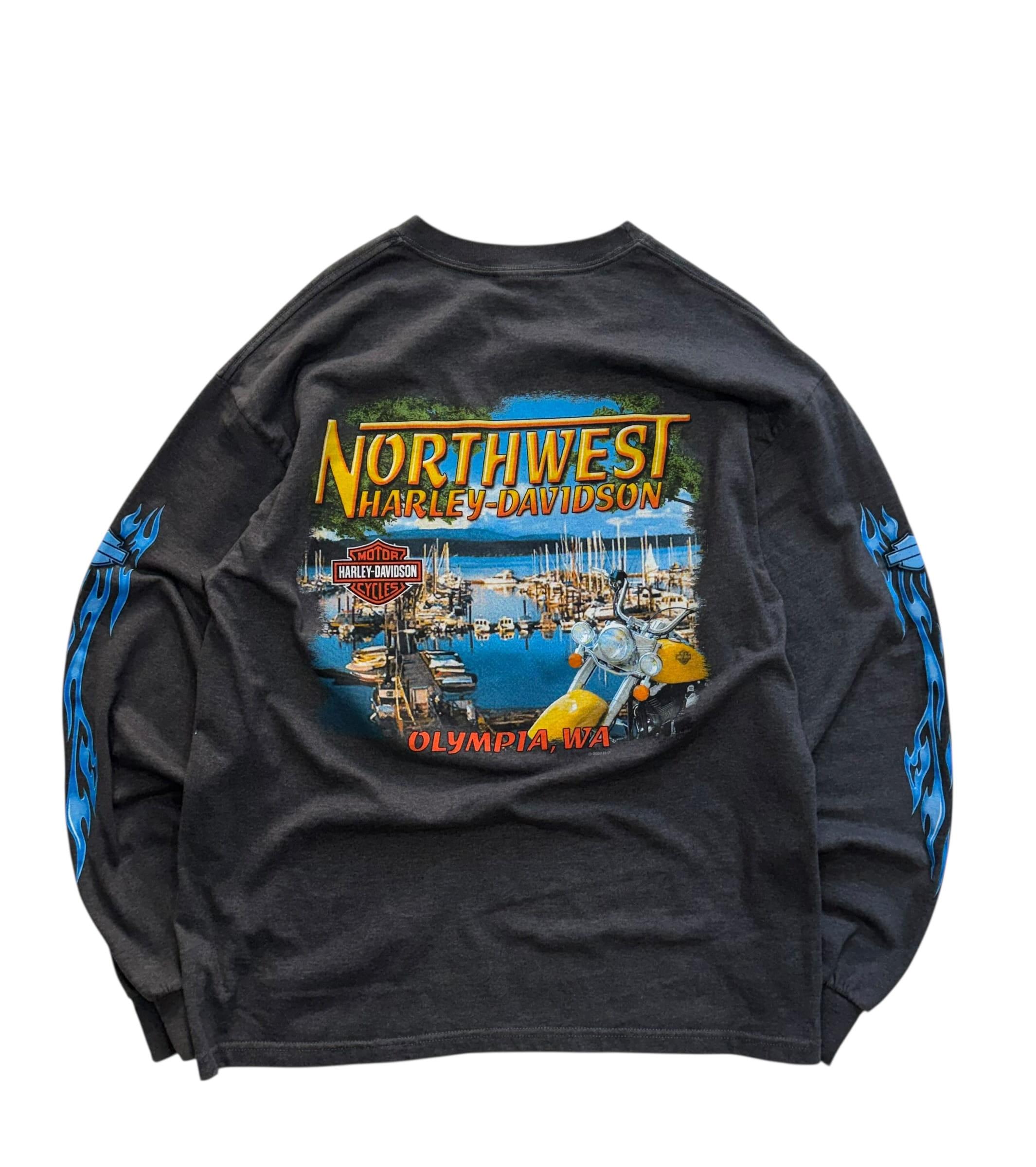 [98] Harley Davidson Blue Flame Long Sleeve 9
