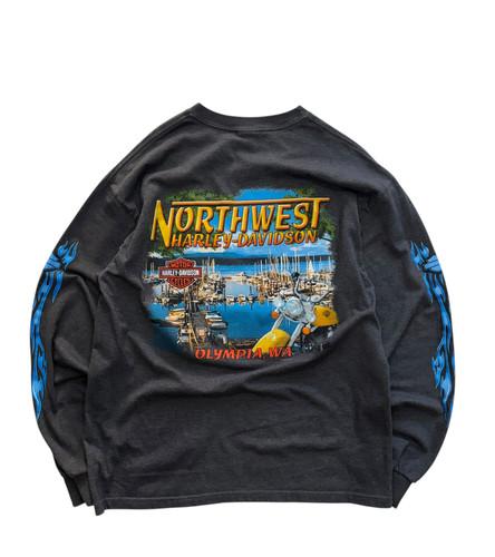 [98] Harley Davidson Blue Flame Long Sleeve 5