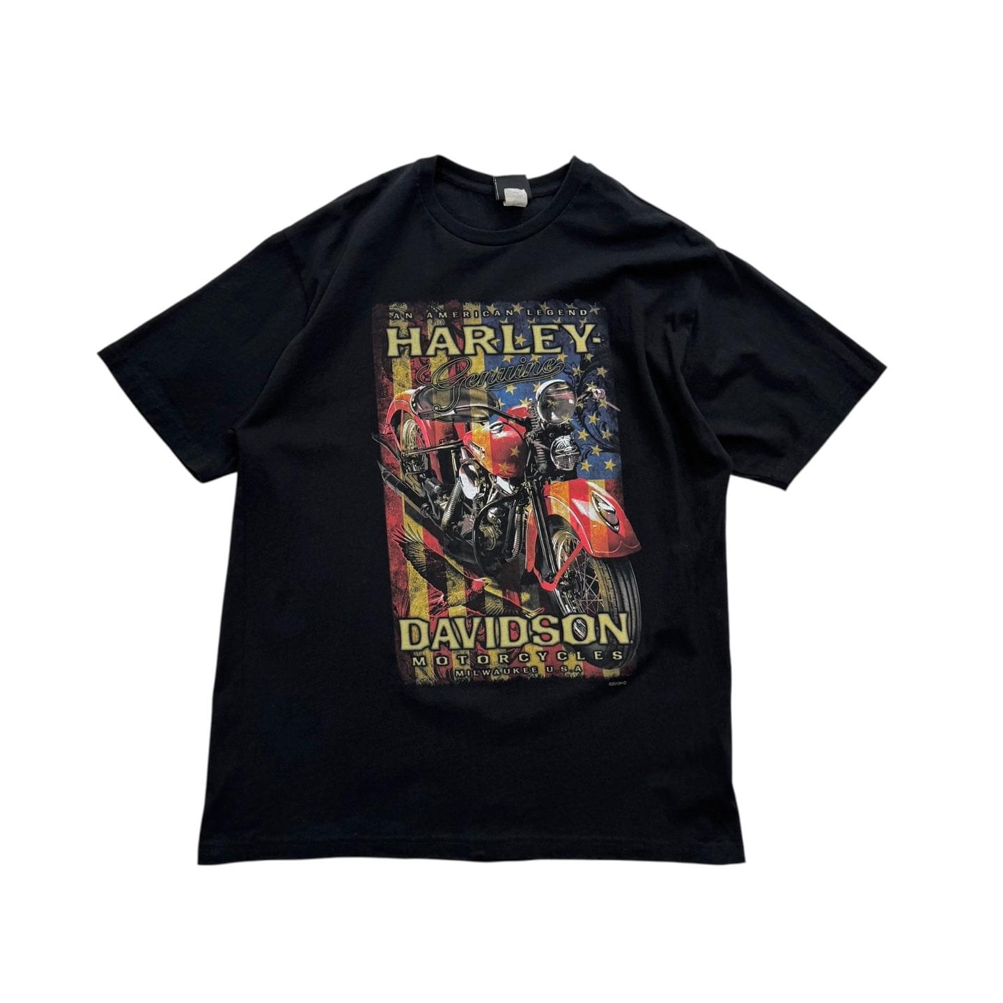 [100] Harley Davidson 'Sturgis' T Shirt 10