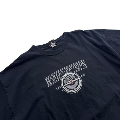 [110~] Harley Davidson 'Stone Mountain'  Big Size 3