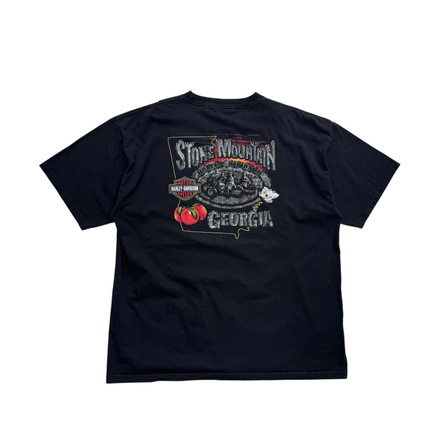 [110~] Harley Davidson 'Stone Mountain'  Big Size 10