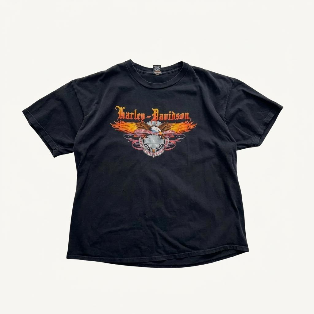[110~] Harley Davidson 'Eagle' T Shirt Big Size 1
