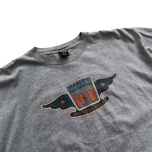 [110~] Harley Davidson 'California'  Big Size 3