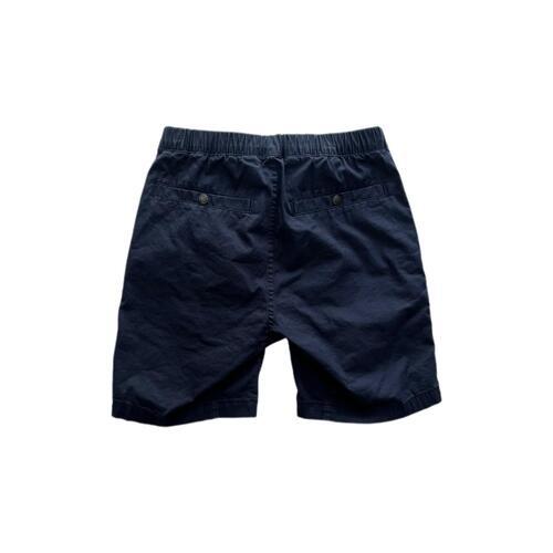 [28] The North Face Shorts 3