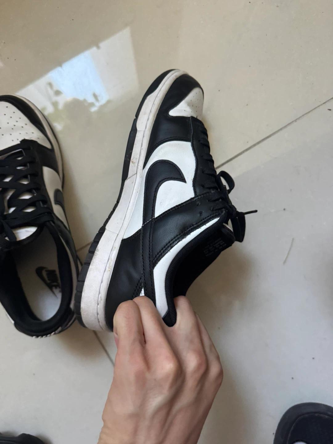 나이키 덩크 로우 범고래 280 4