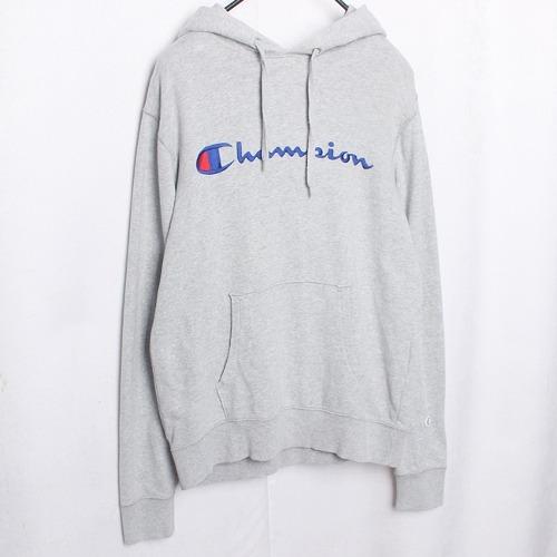 Champion Pullover Hood 2
