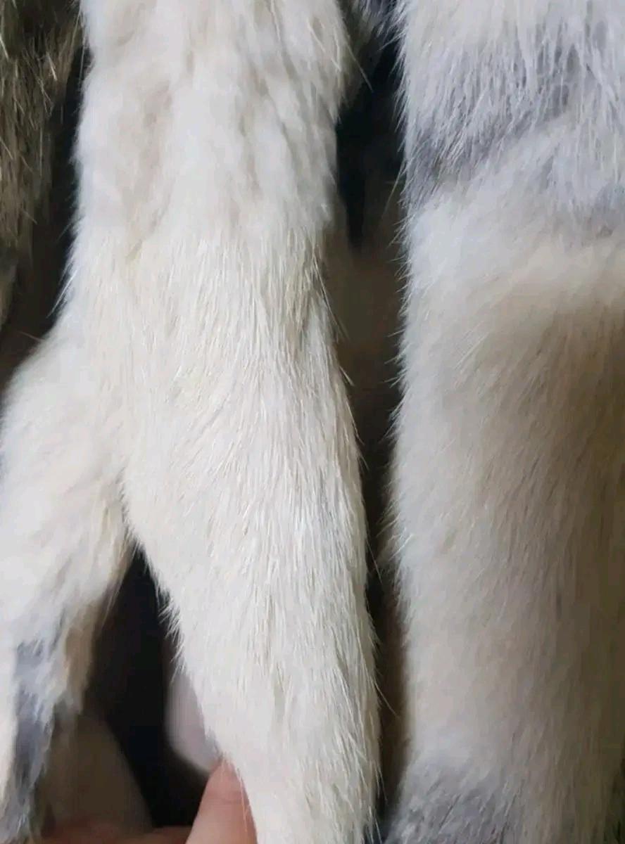 토끼털 자켓 55 7