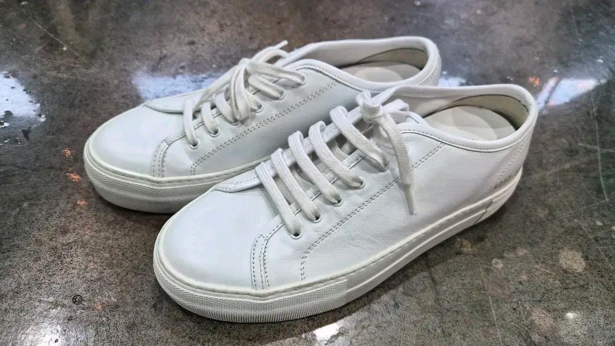 커먼 프로젝트 아킬레스 로우 화이트 35 2