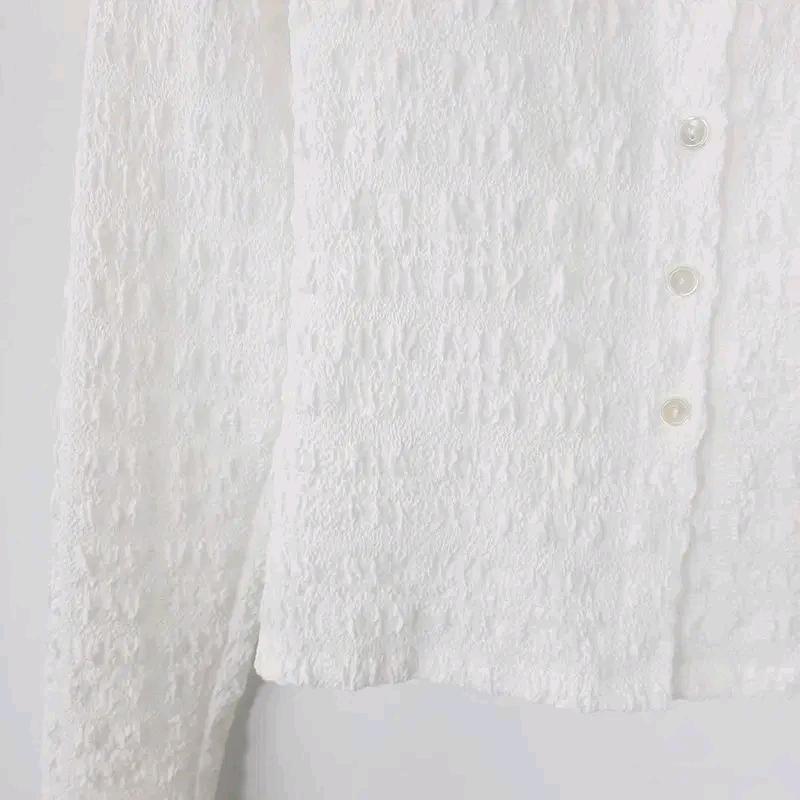 호퍼 지짐이 카라 셔츠 F 5