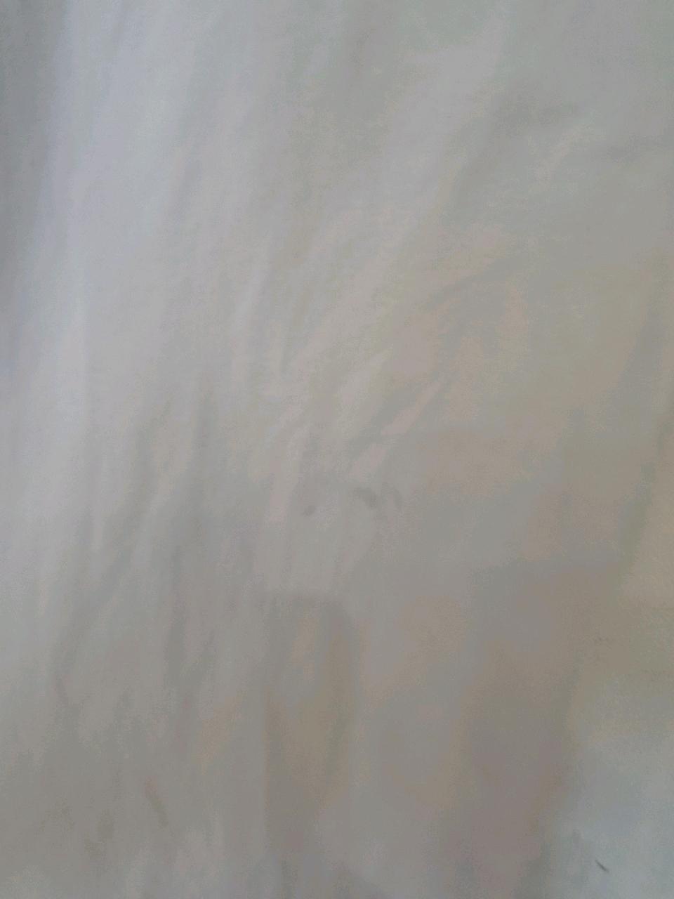 남0008562 노스페이스 로고 자수  팬츠 그레이 6