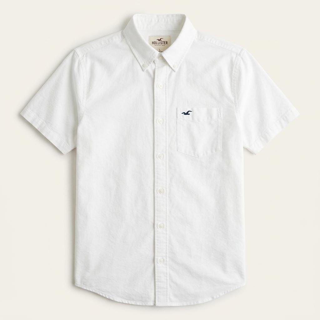 HOLLISTER 반팔 옥스포드 셔츠 L 1