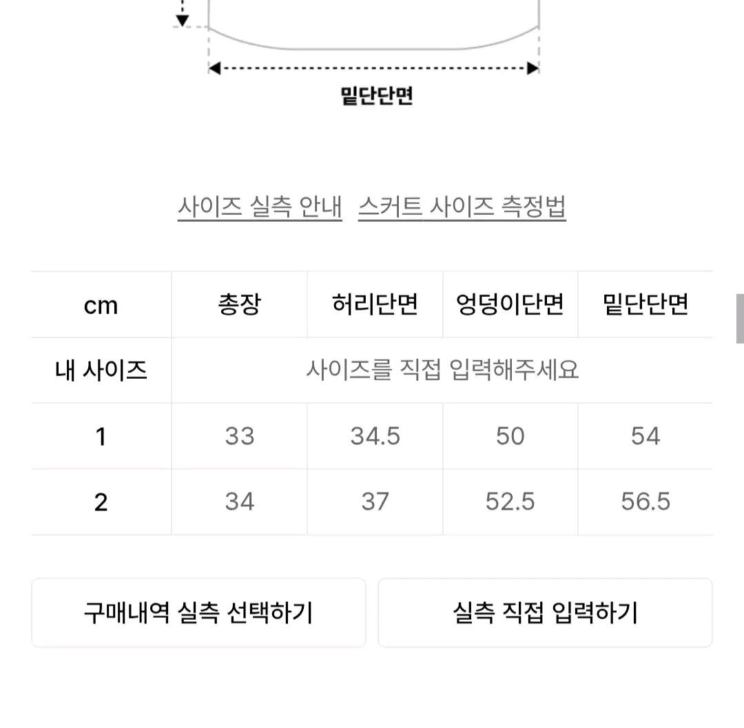 트리밍버드 시스루 브이 로우웨스트 미니스커트 블랙 10