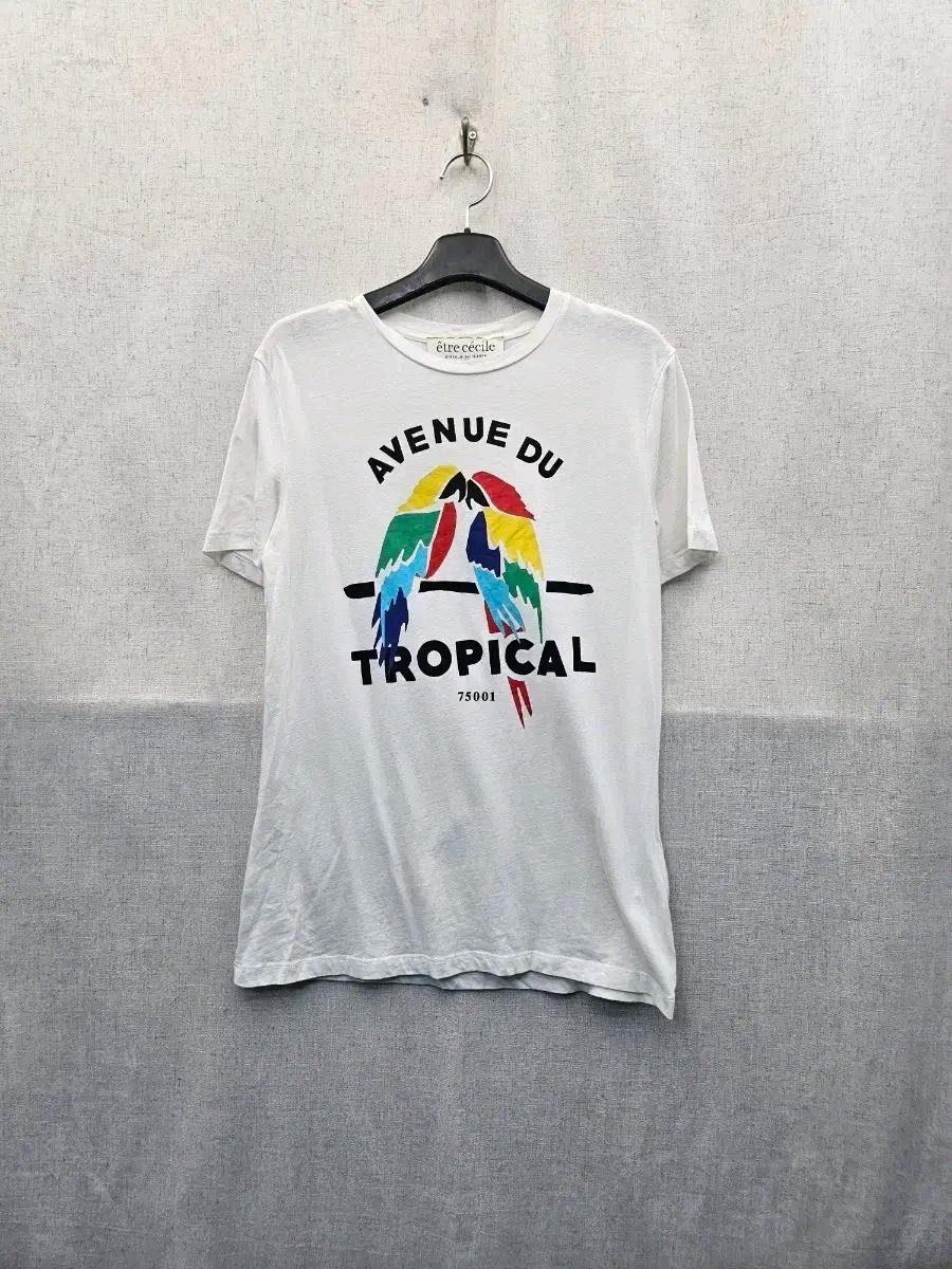 Etre Cecile 앵무새 그래픽 반팔 (243 2