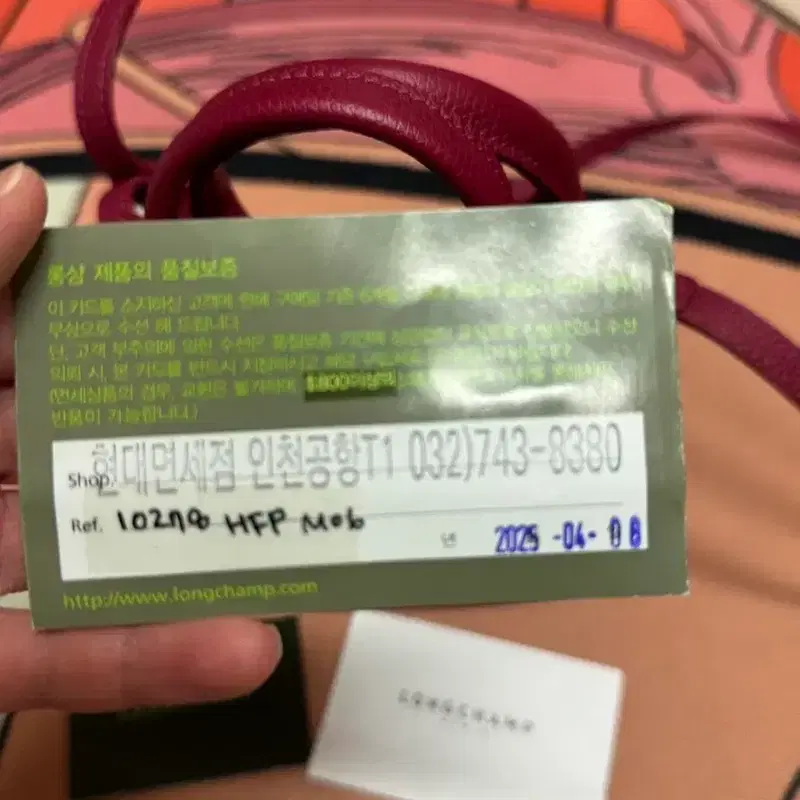 롱샴 로조 숄더백 6