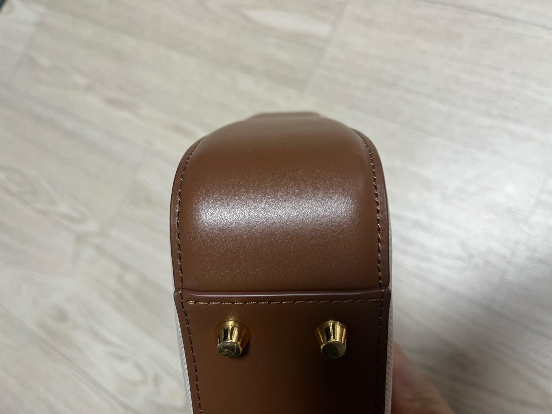 디옵튼 틸드백 캔버스 레더 토트백 브라운 7