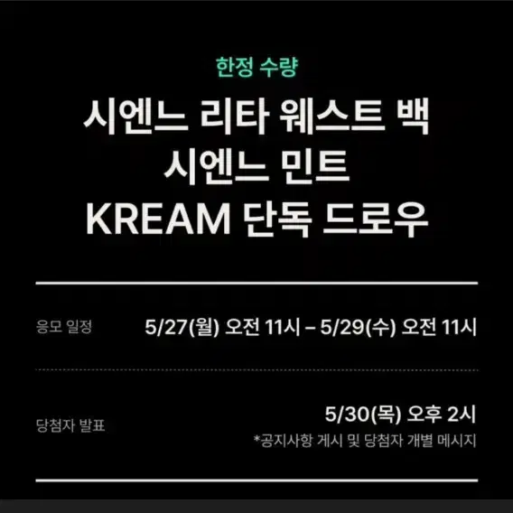 (새제품) 시엔느 리타 웨스트백 민트 3