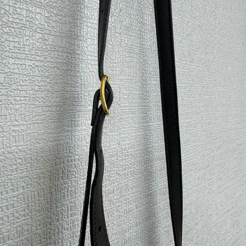 멀버리 레오파드 카메라 백 5