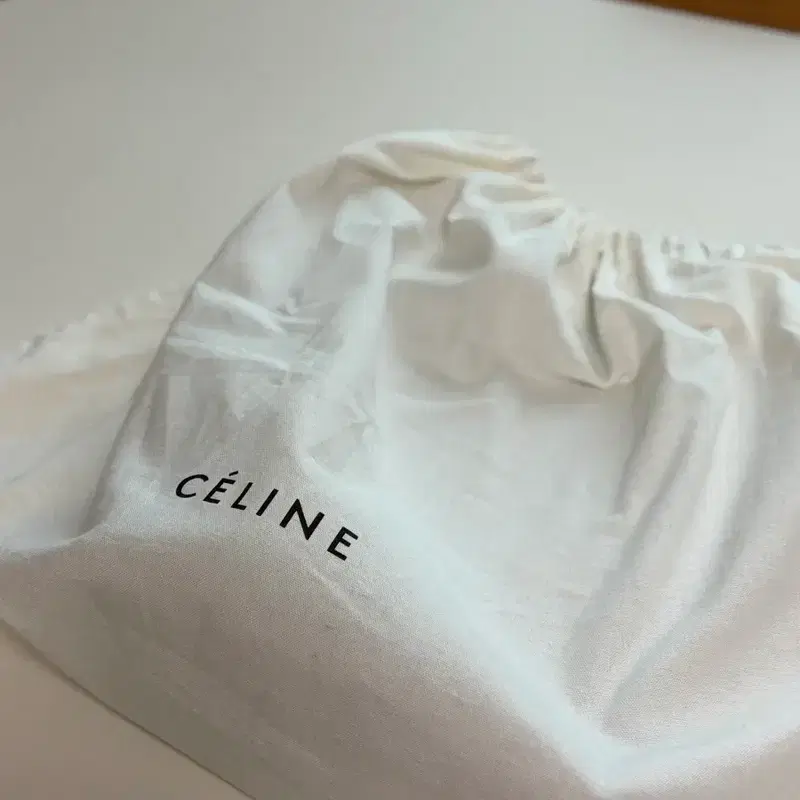 셀린느(Celine) 트위스트 카바스 민트컬러 5