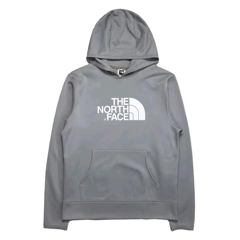 THE NORTH FACE 빅로고 후드 그레이 S/P 2