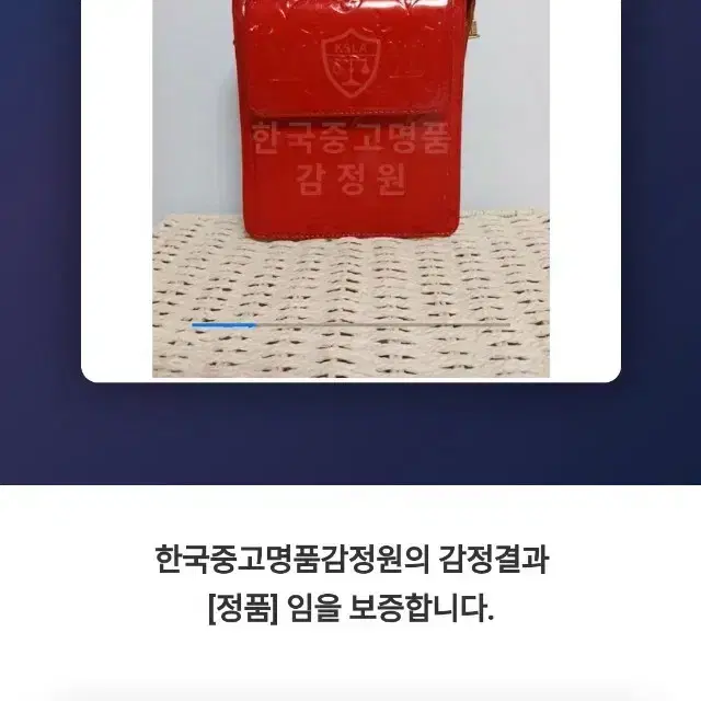 정품- 루이비통 베르니 모트백 3
