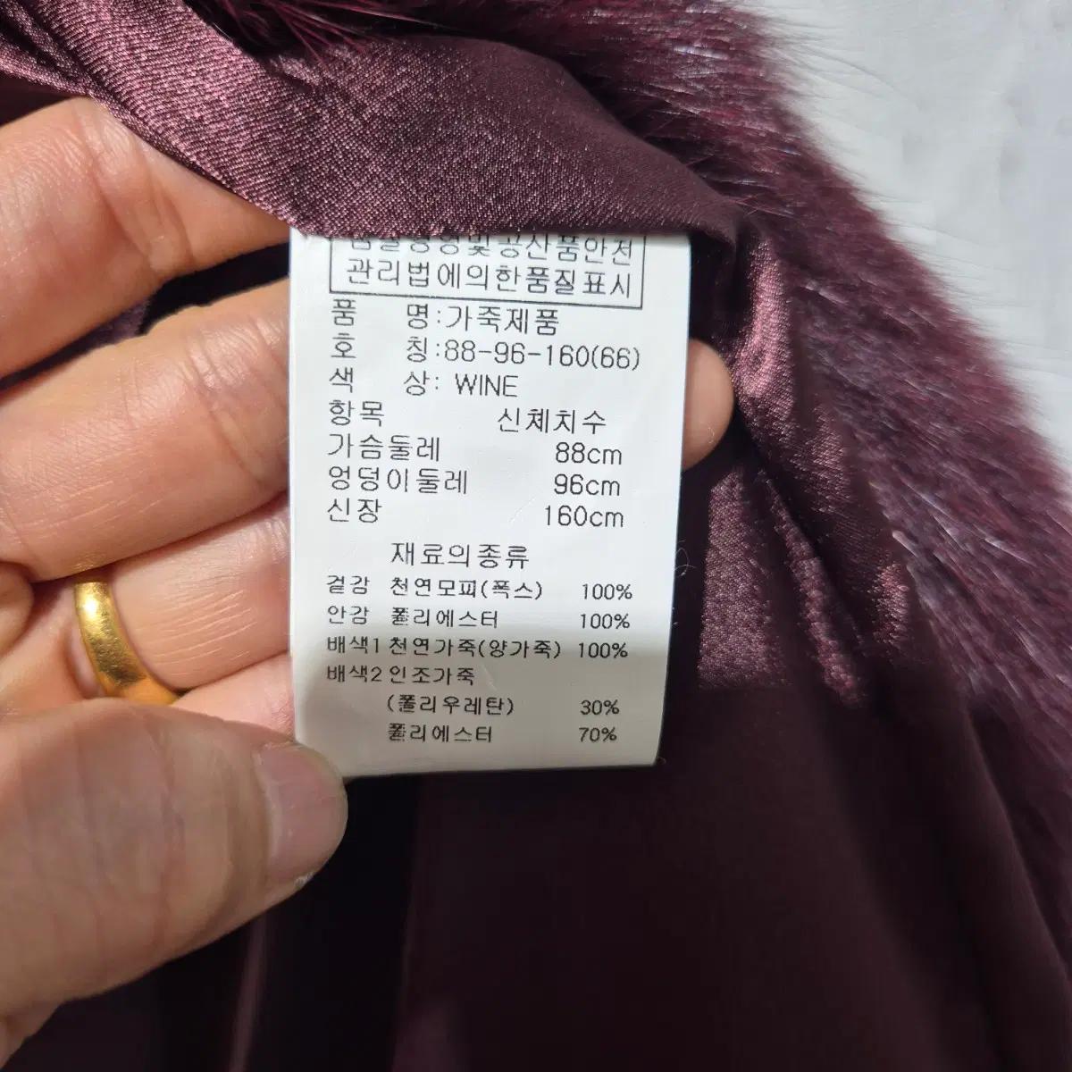 사가 폭스털 베스트 와인색 5