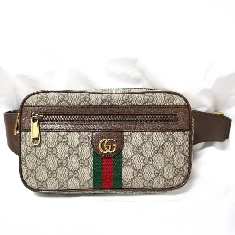 Gucci(구찌) 574796 소프트 GG 수프림 캔버스 오피디아 WEB 힙색 벨트백 2