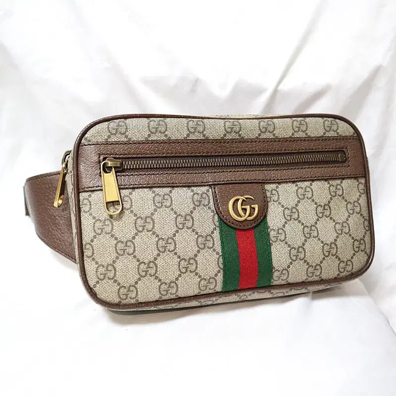 Gucci(구찌) 574796 소프트 GG 수프림 캔버스 오피디아 WEB 힙색 벨트백 4