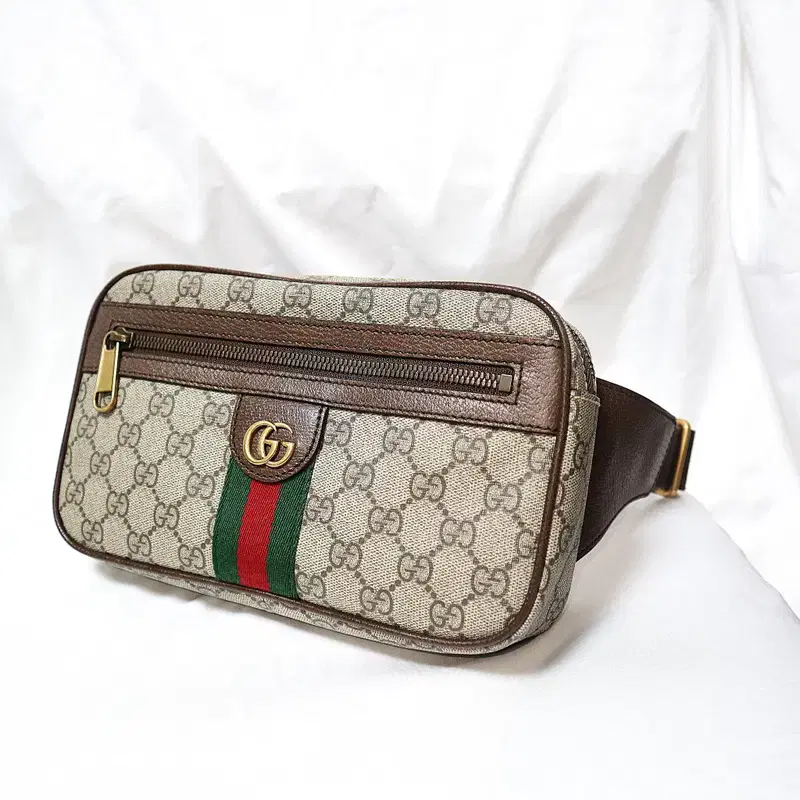 Gucci(구찌) 574796 소프트 GG 수프림 캔버스 오피디아 WEB 힙색 벨트백 5