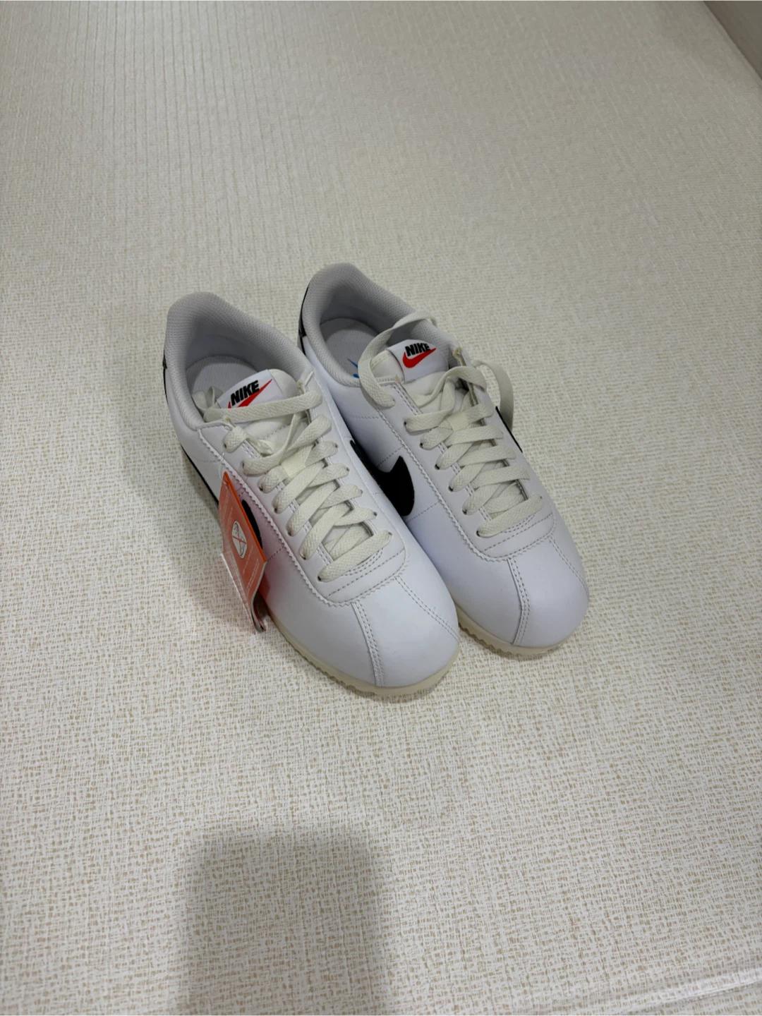 나이키 코르테즈 240 2