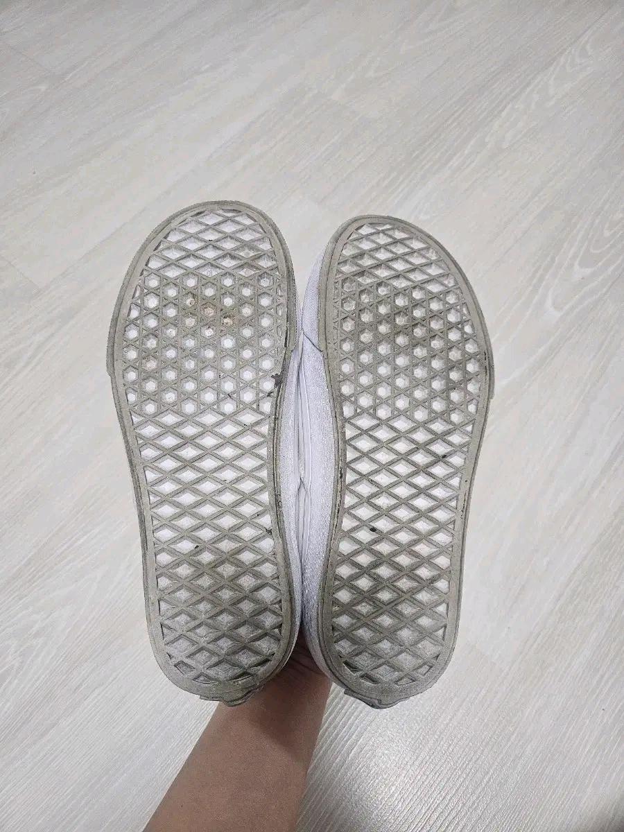 반스 어센틱 220 7