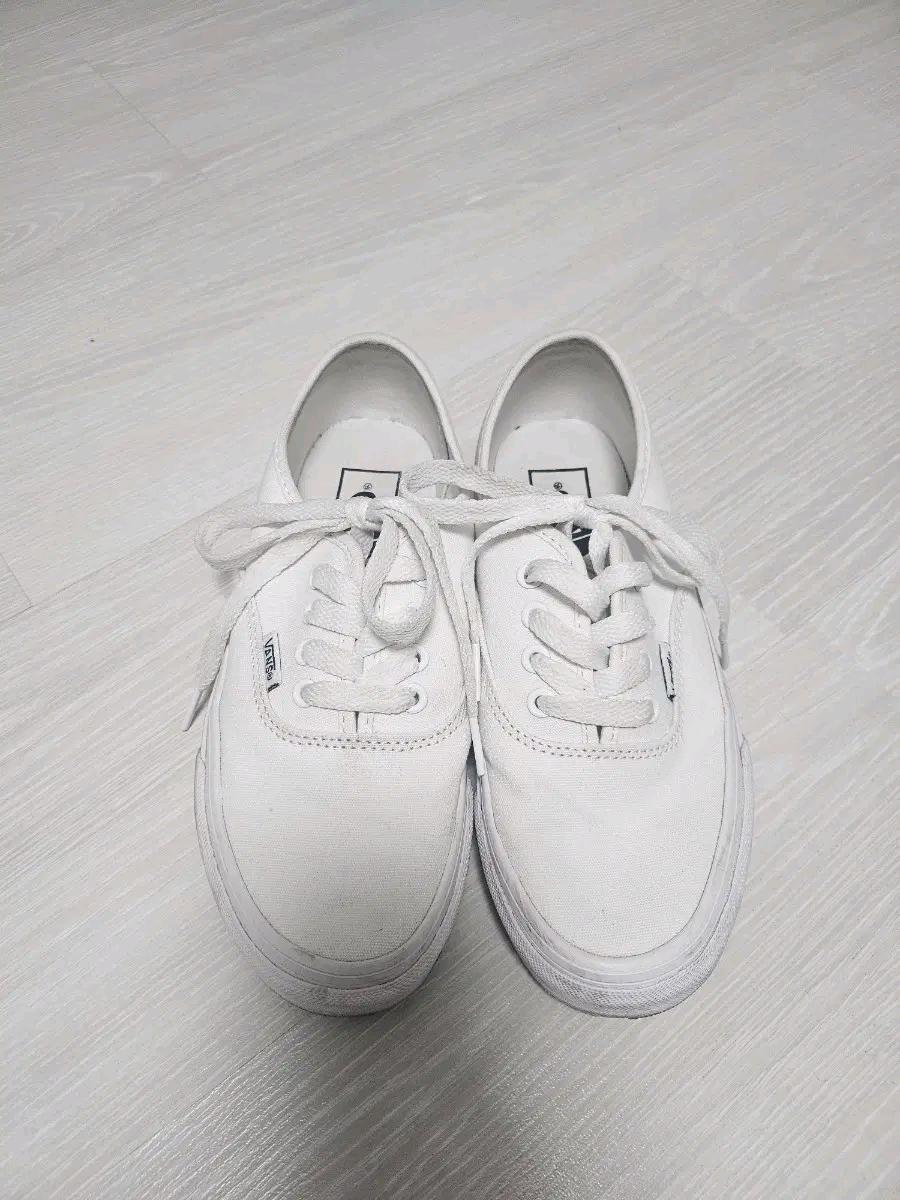 반스 어센틱 220 3