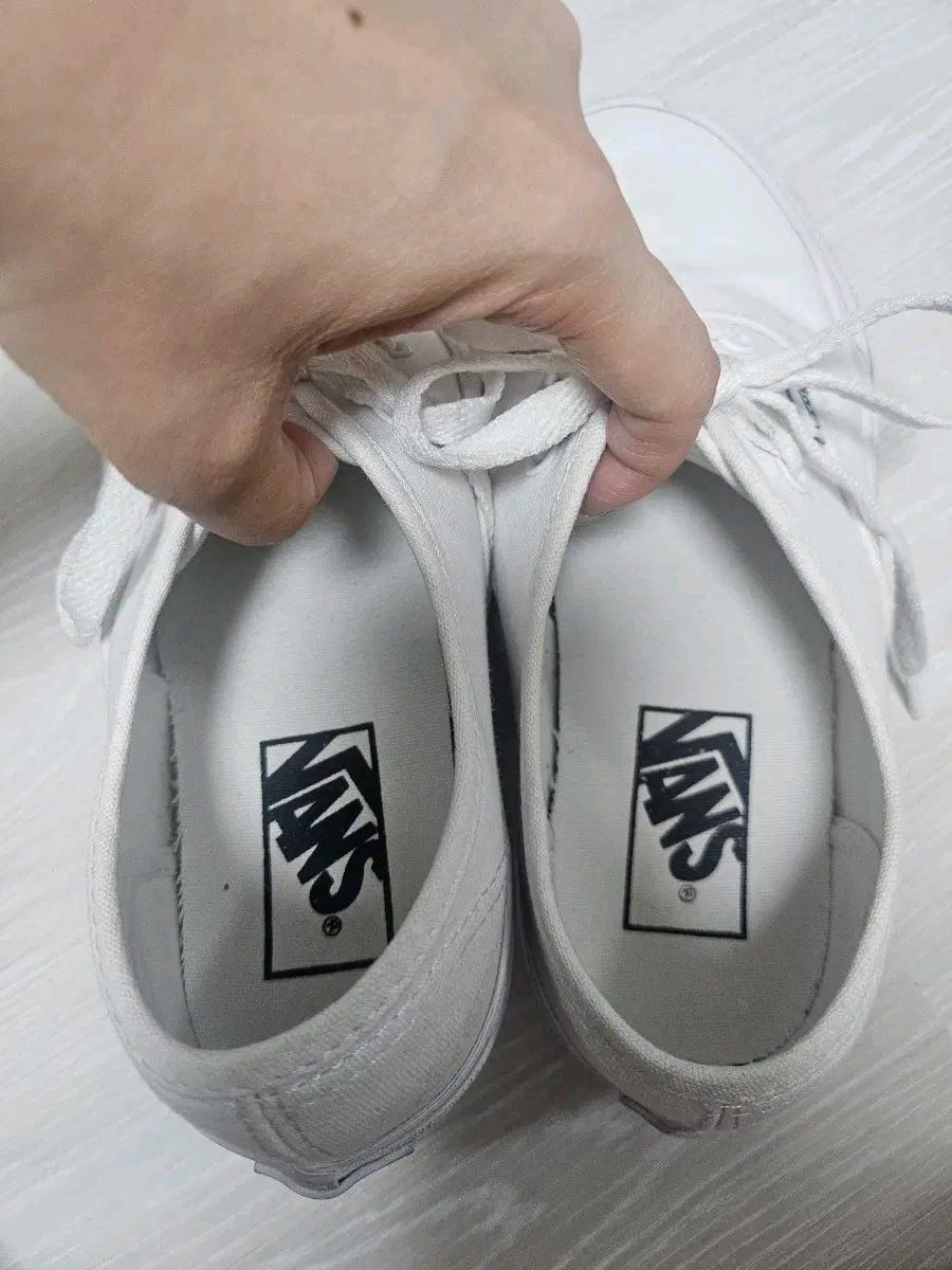 반스 어센틱 220 6