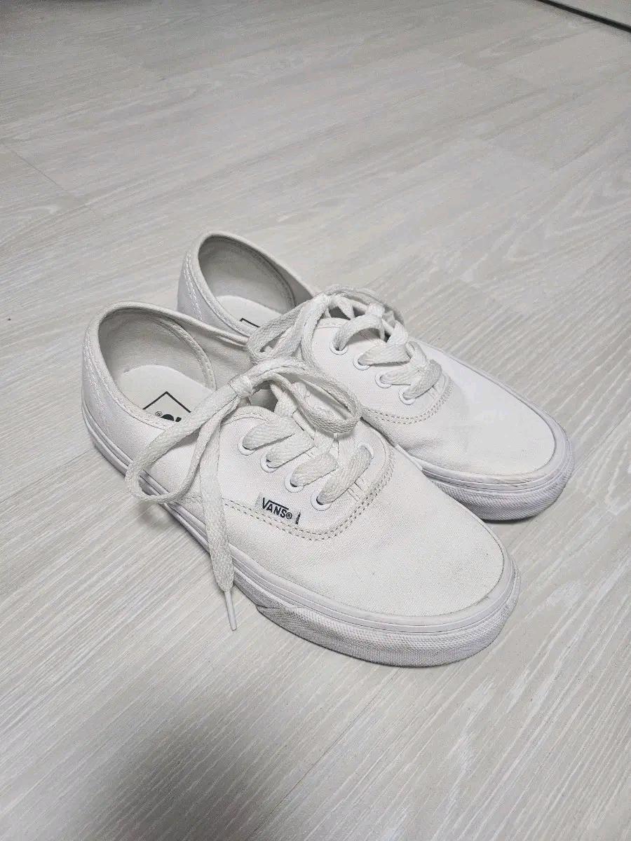 반스 어센틱 220 2