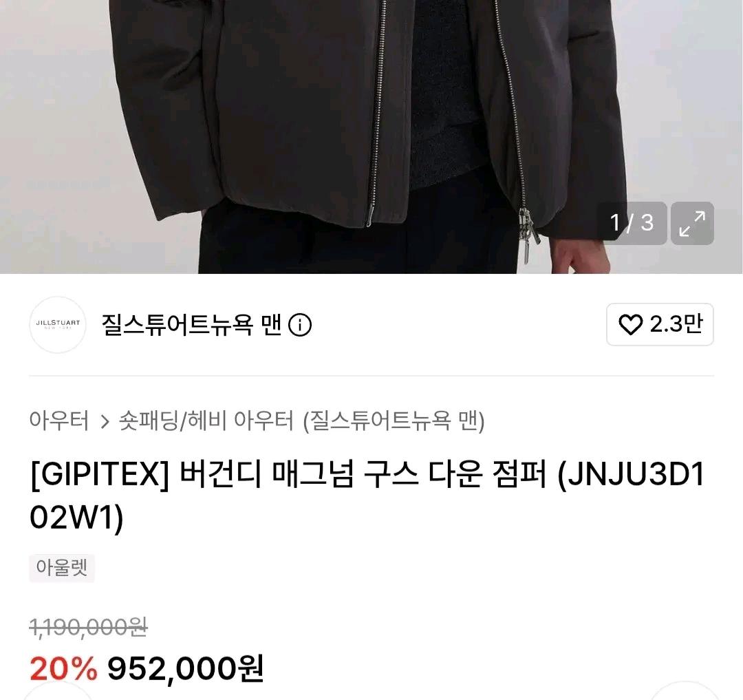 질스튜어트뉴욕 매그넘 구스 다운 점퍼 남성 105 3