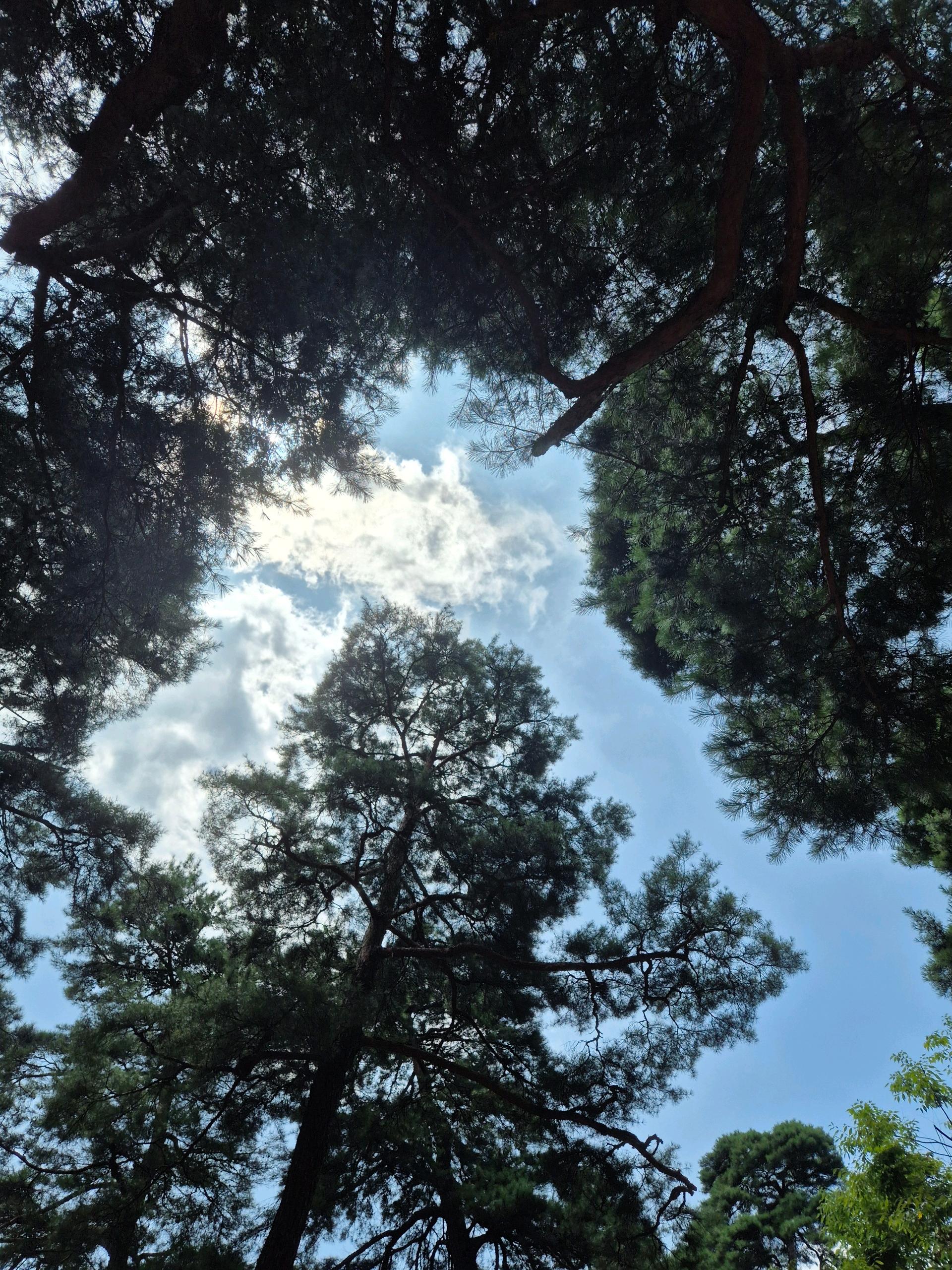 참한여인