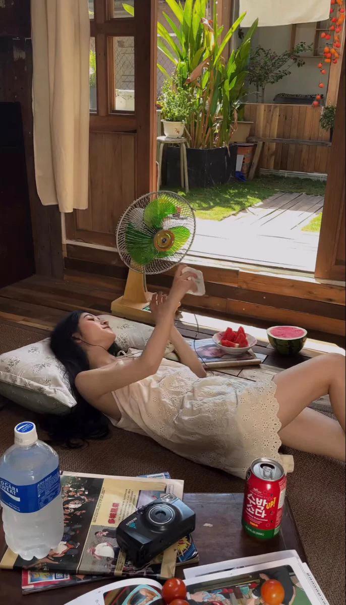 아기새