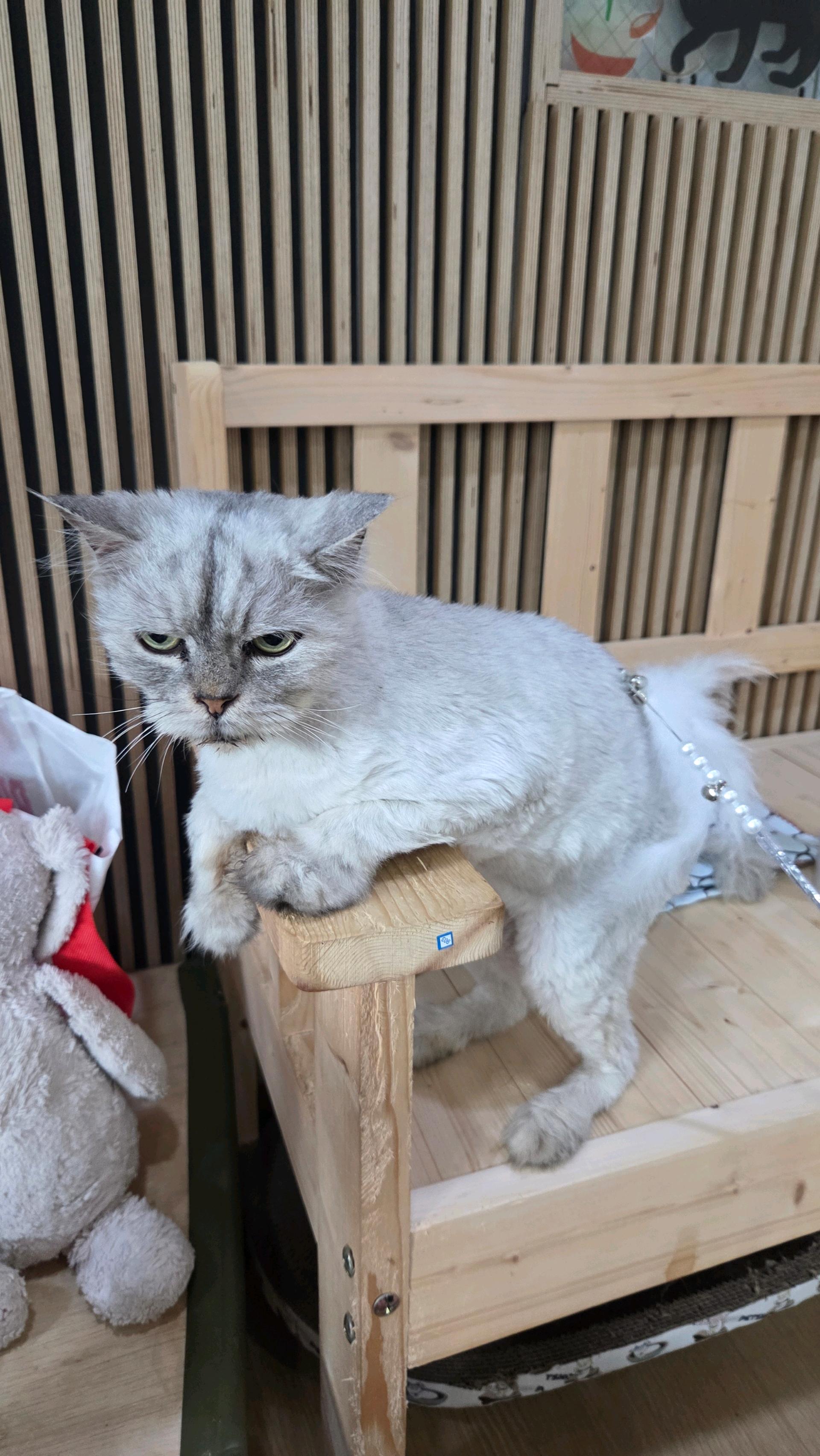 개운한 케이프 5430
