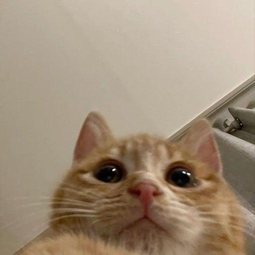 뿌링클