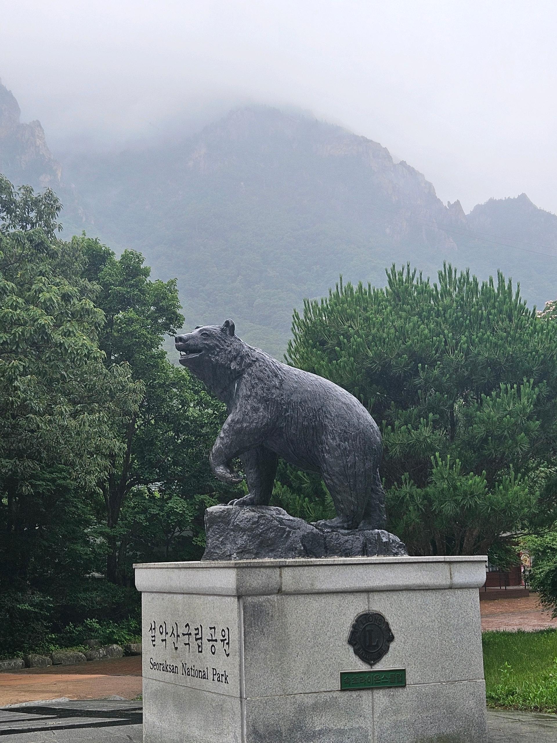 착한 곰