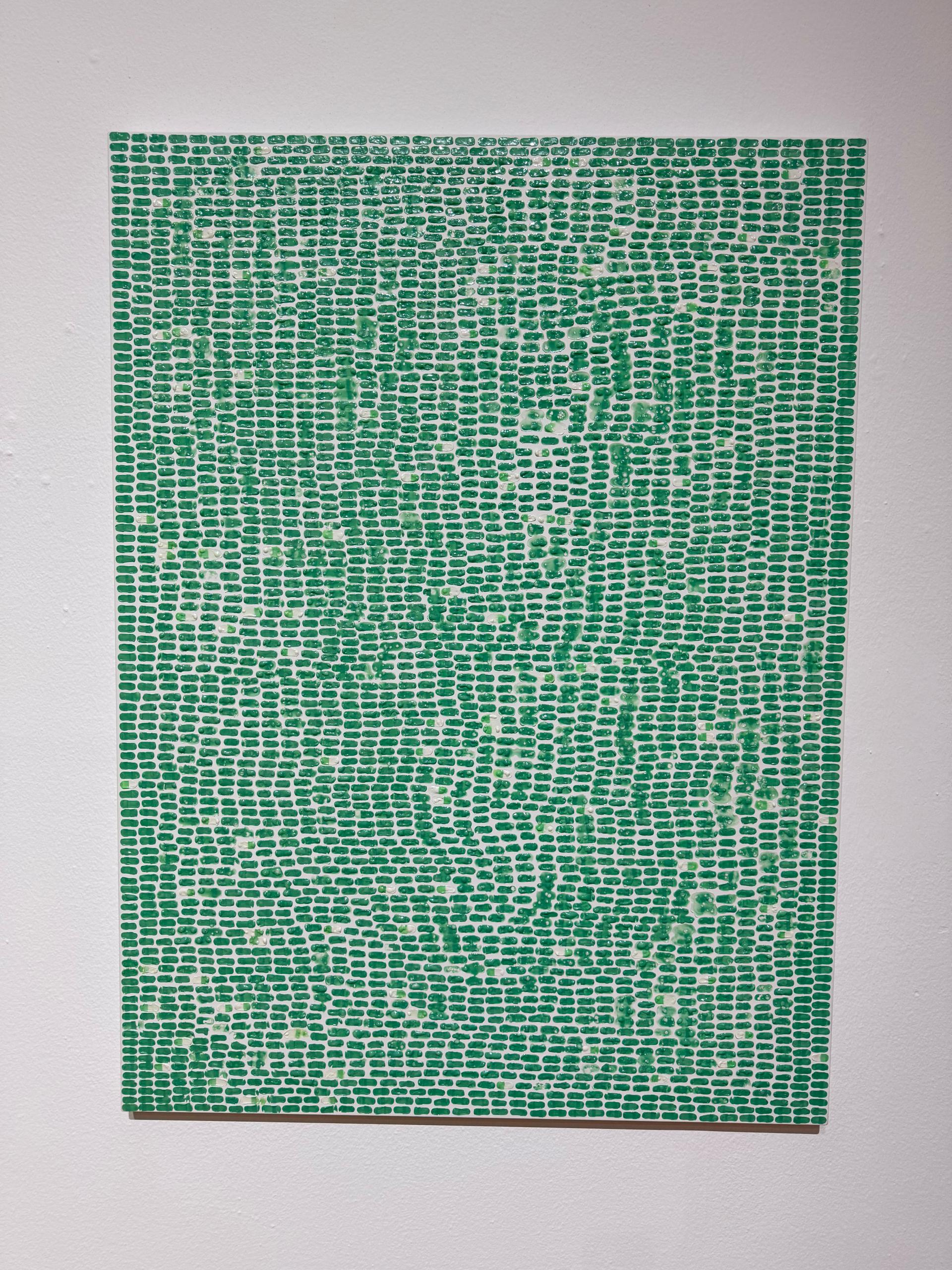 플랫화이트s