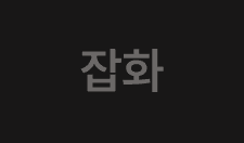 잡화