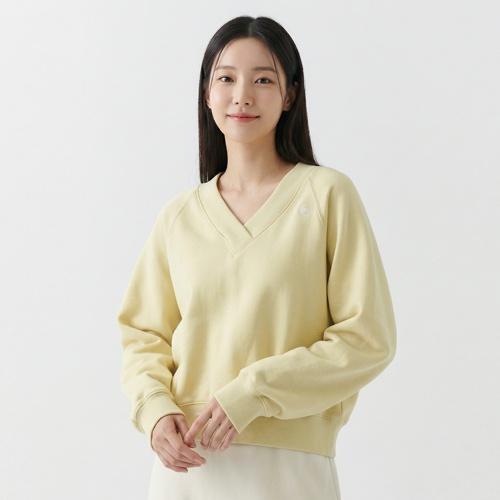 렉토 브이넥니트