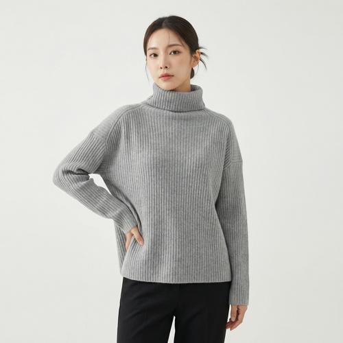 시엔느 폴라니트