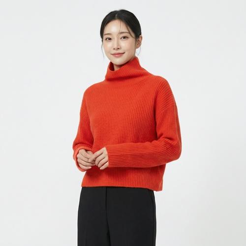 폴로 랄프 로렌 폴라니트