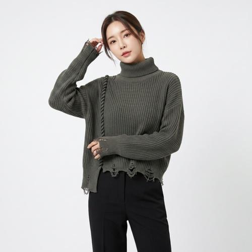 더일마 폴라니트
