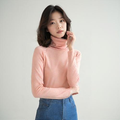 시스템 폴라니트